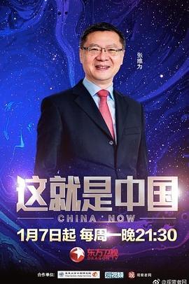 网站优化选择什么类型好